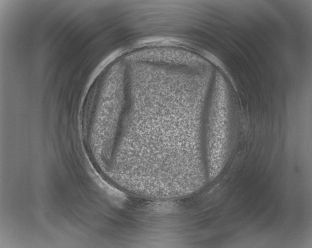 X0000080791090200701021218