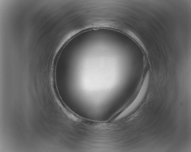 X0000080791093200701021218