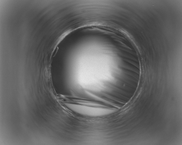 X0000080791097200701021218