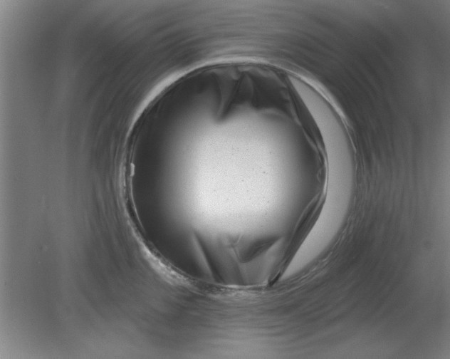 X0000080791101200701021217