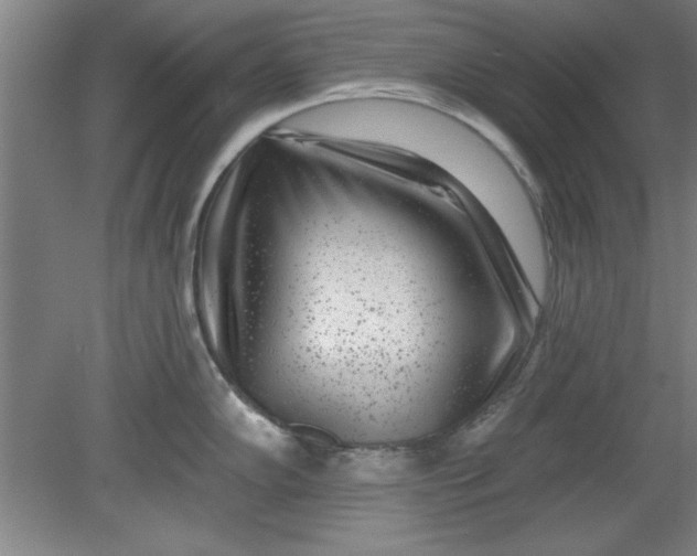 X0000080791102200701021217