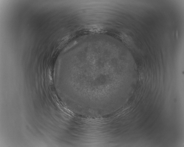X0000080791106200701021217