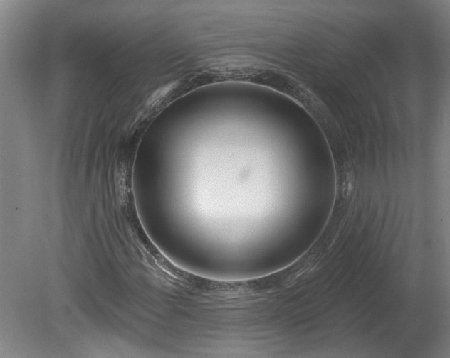 X0000080791108200701021217