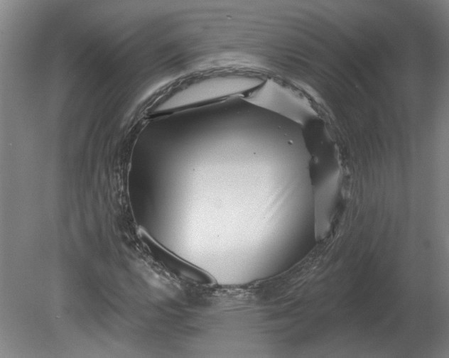 X0000080791112200701021217