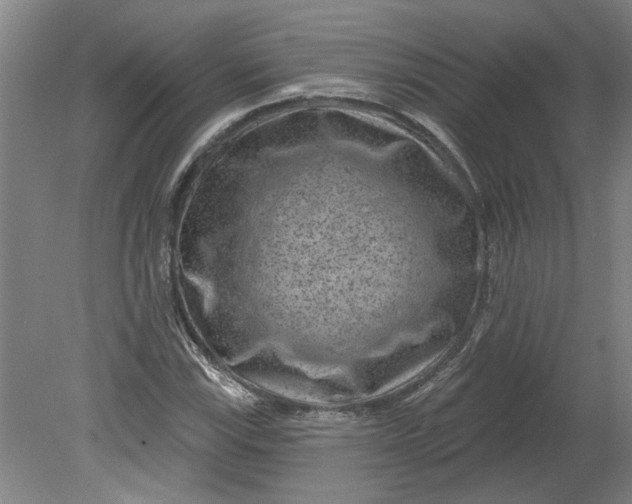 X0000080791115200701021217