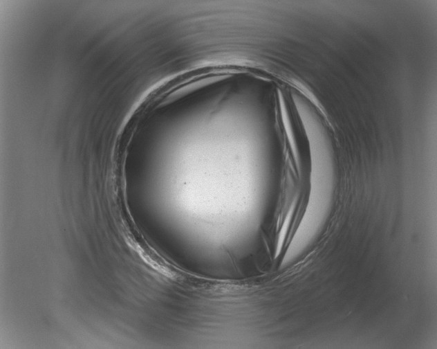 X0000080791116200701021217