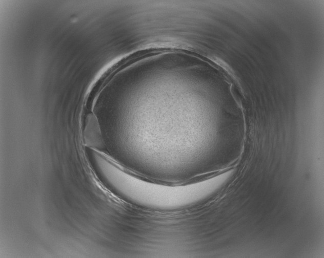 X0000080791120200701021217