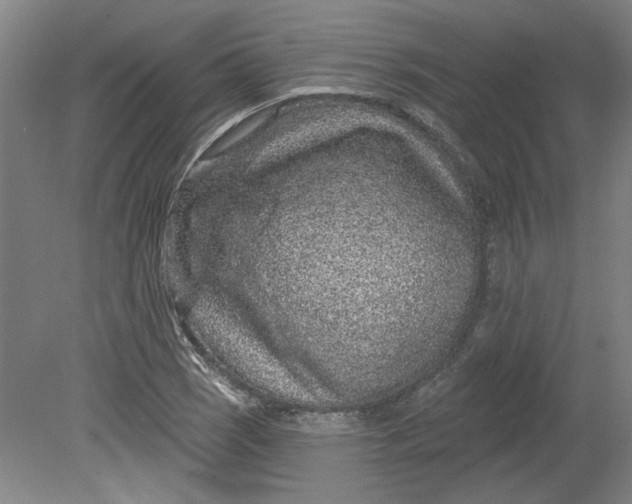 X0000080791121200701021217