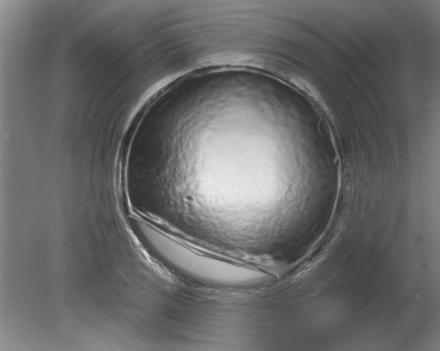 X0000080791125200701021217