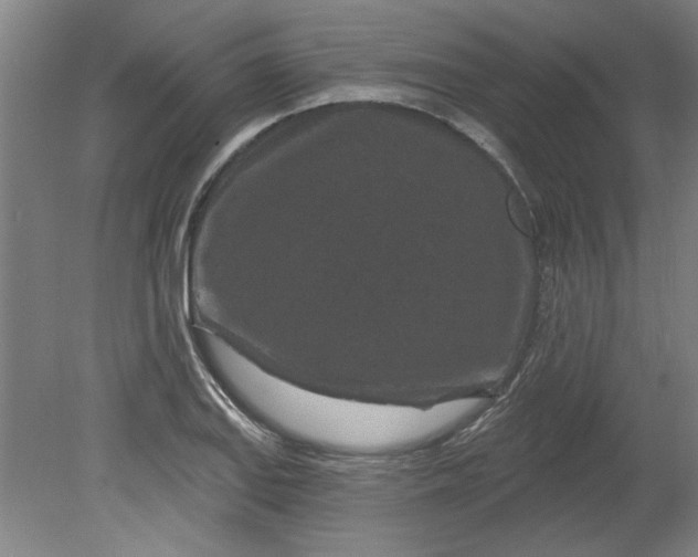 X0000080791127200701021217