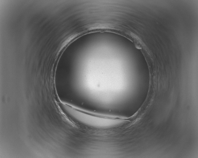 X0000080791129200701021217