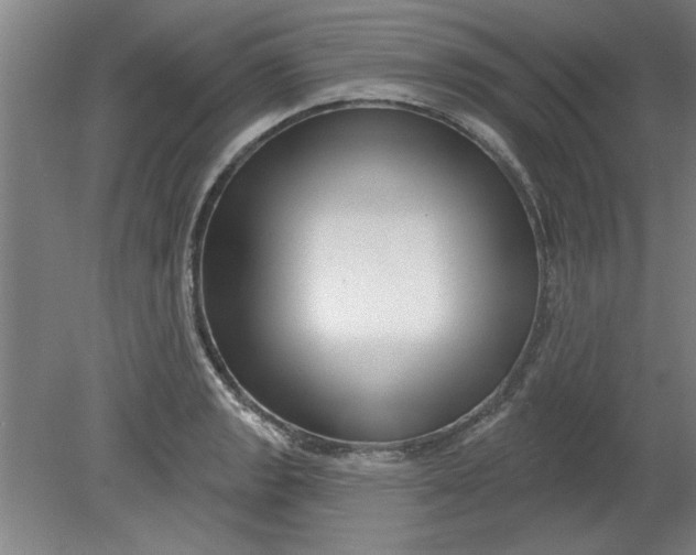 X0000080791133200701021217