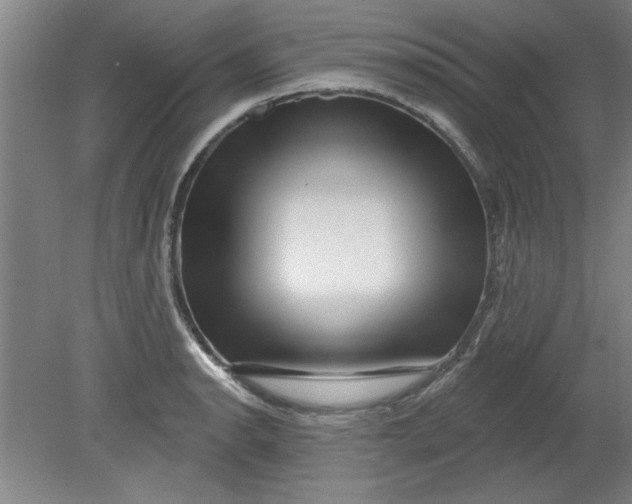 X0000080791134200701021217