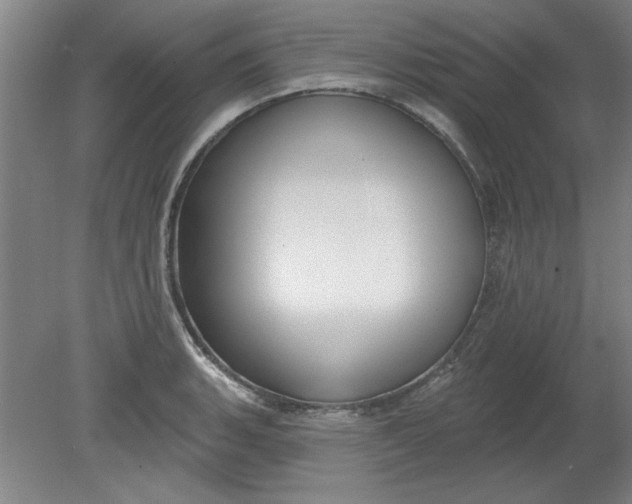 X0000080791135200701021217