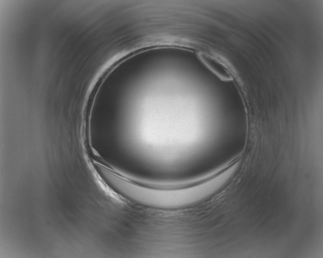 X0000080791136200701021217