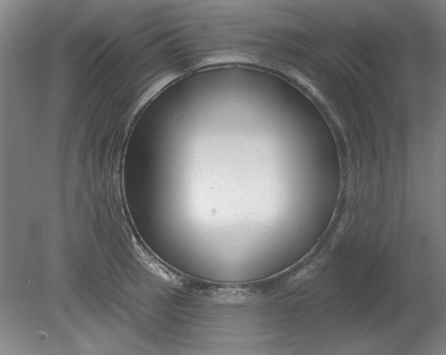 X0000080791137200701021217