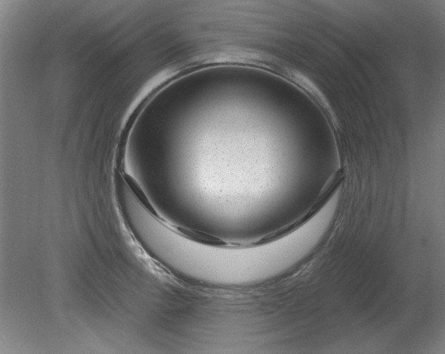 X0000080791138200701021217