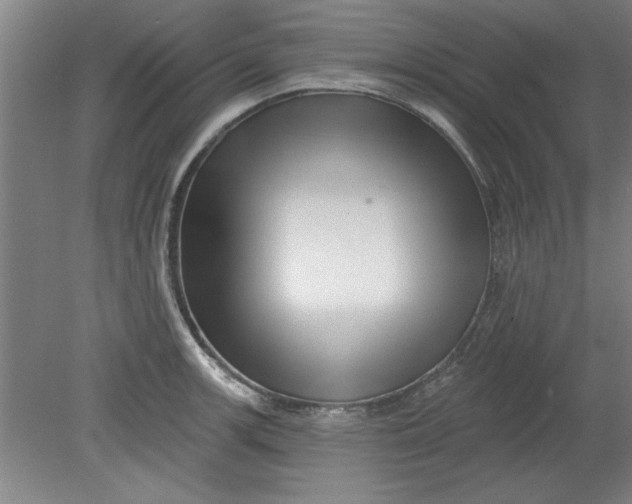 X0000080791139200701021217
