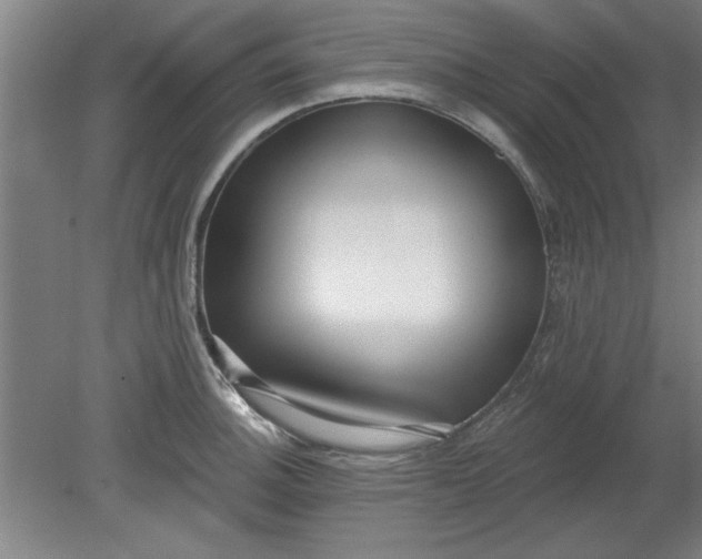 X0000080791140200701021217