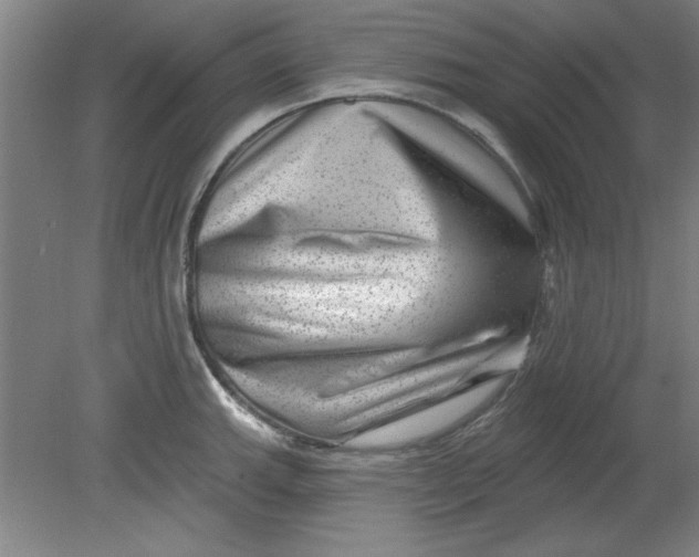 X0000080791143200701021217