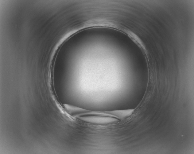 X0000080791144200701021217