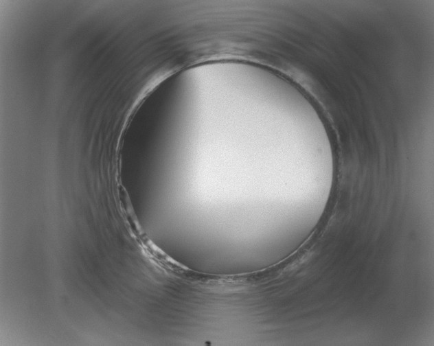 X0000080791145200701021217