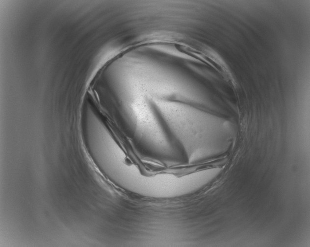 X0000080791146200701021217
