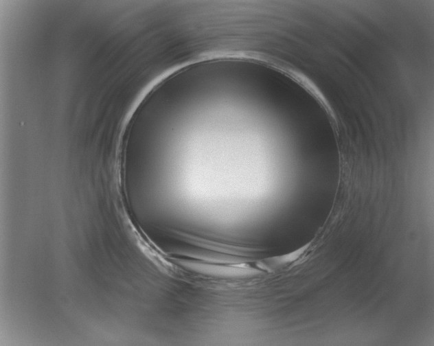 X0000080791148200701021217