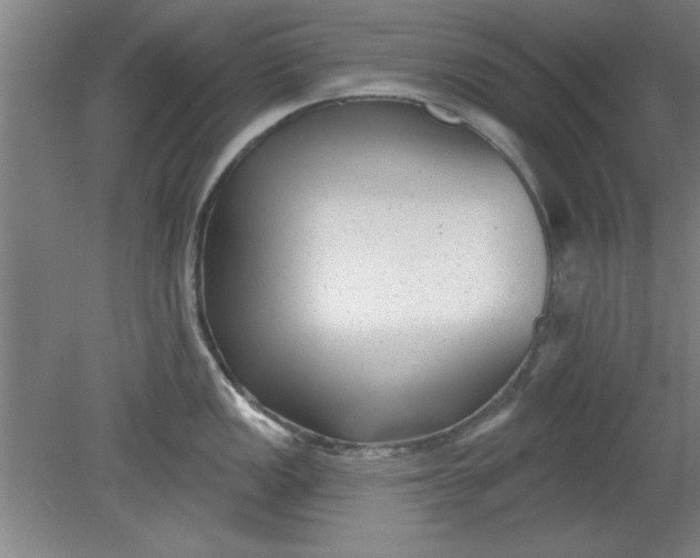 X0000080791149200701021217