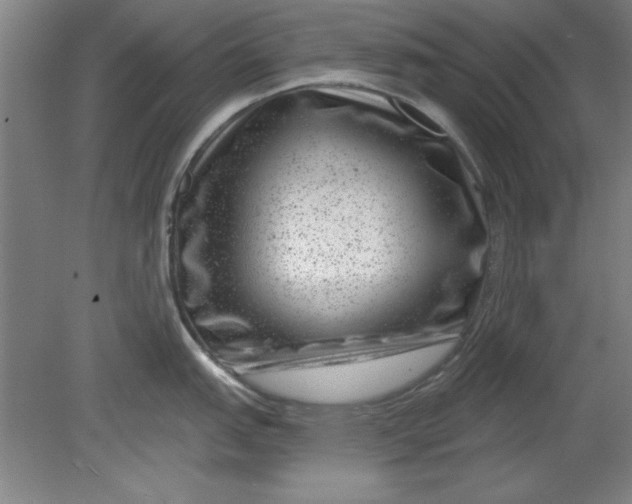X0000080791151200701021217