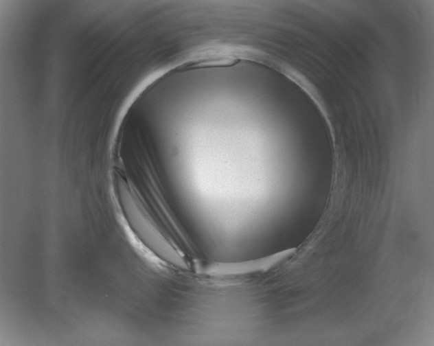 X0000080791152200701021217