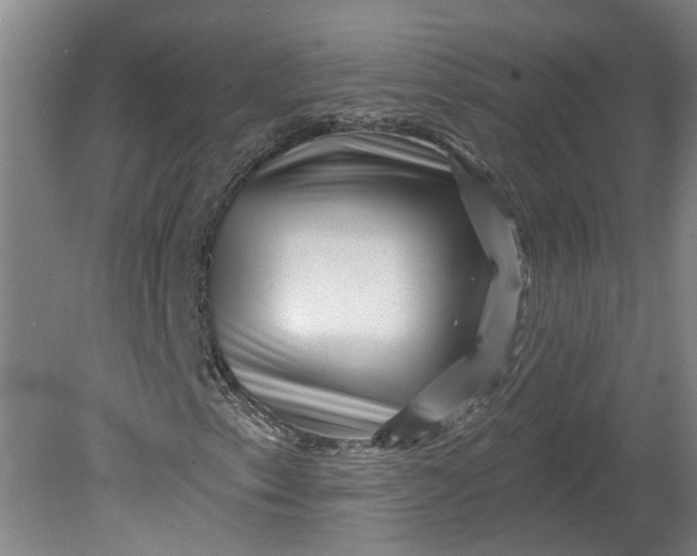 X0000080791153200701021217
