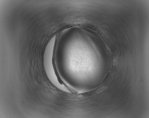 X0000080791156200701021217