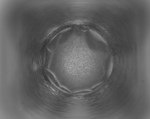 X0000080791158200701021216