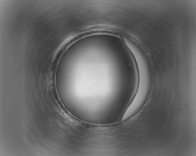 X0000080791164200701021216