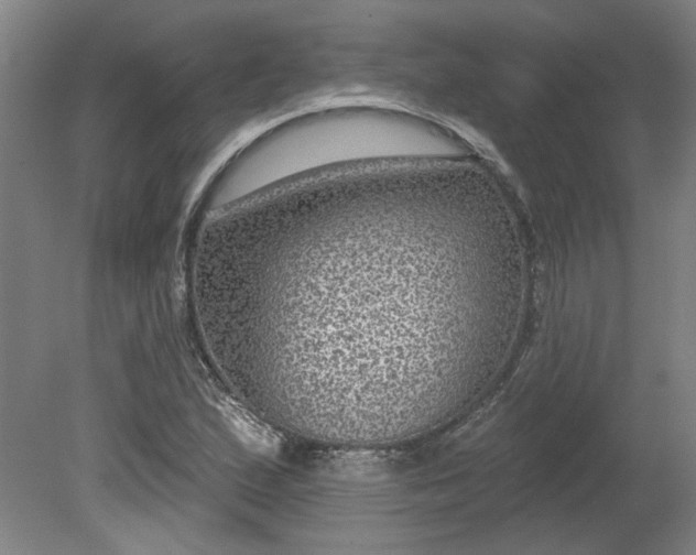 X0000080791167200701021216
