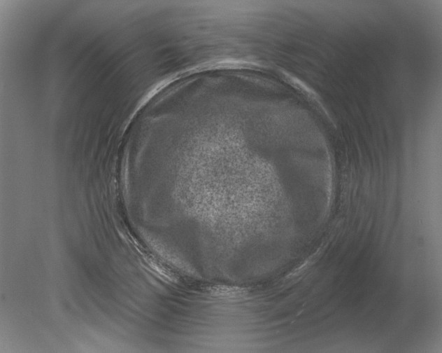 X0000080791170200701021216