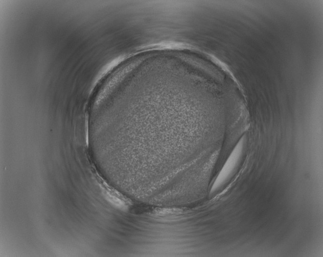 X0000080791171200701021216