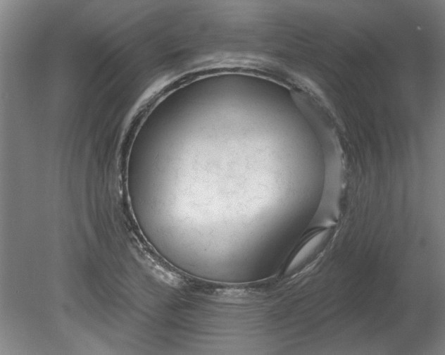 X0000080791172200701021216