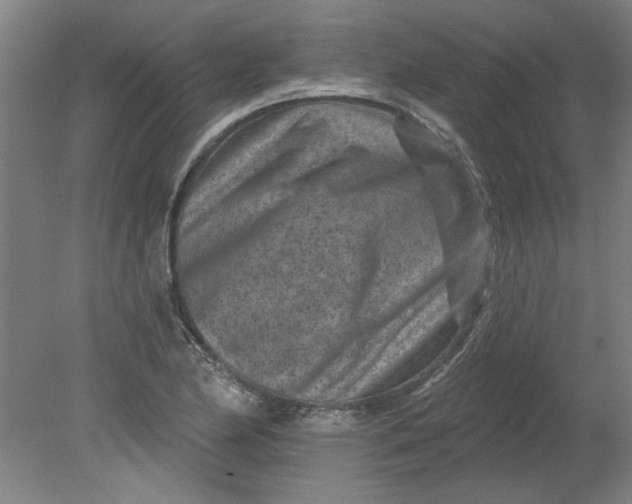 X0000080791174200701021216
