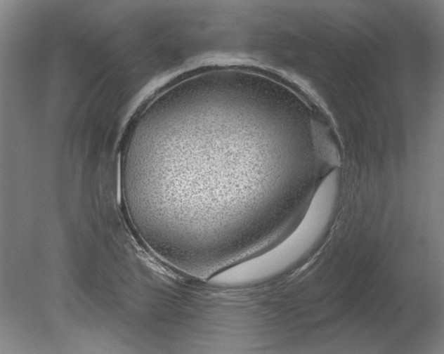 X0000080791175200701021216