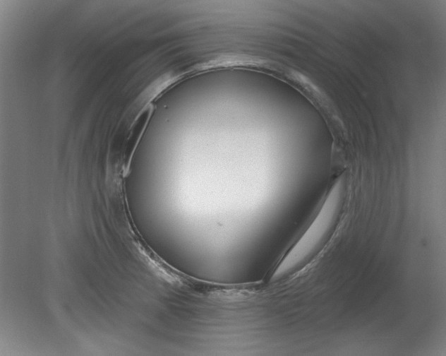 X0000080791185200701021216