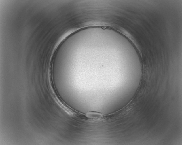 X0000080791187200701021216