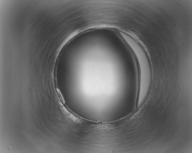X0000080791189200701021216