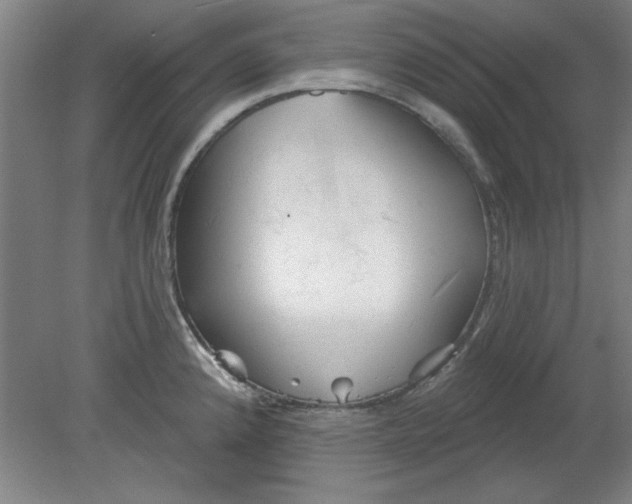X0000080791192200701021216
