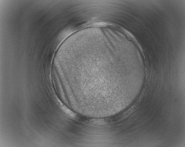 X0000080791194200701021216