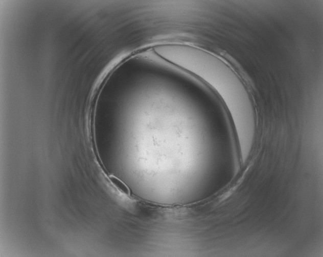 X0000080791196200701021216