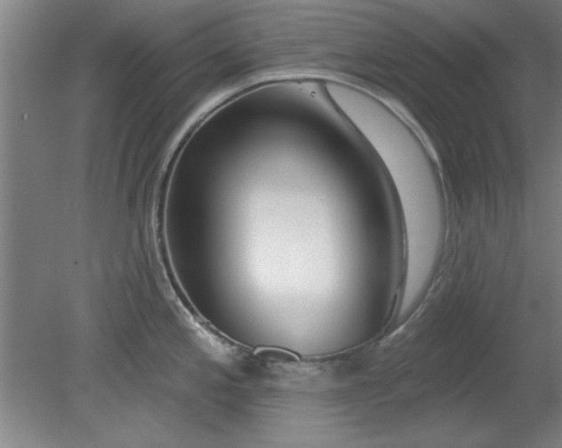 X0000080791197200701021216