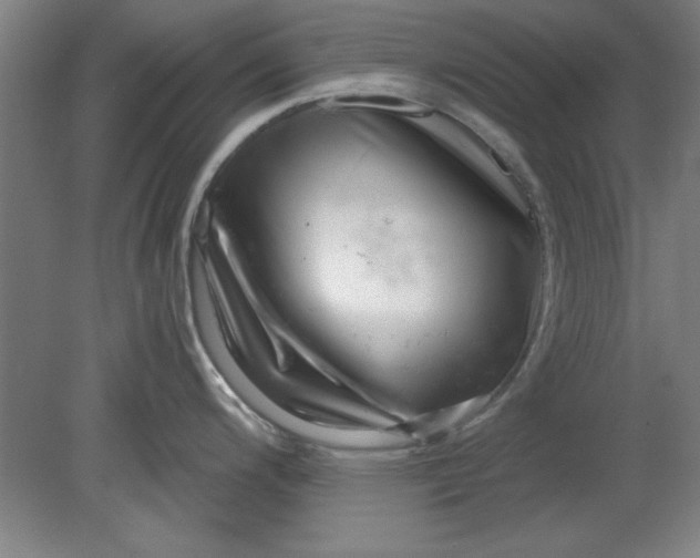 X0000080791200200701021216