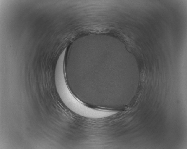 X0000080791202200701021215